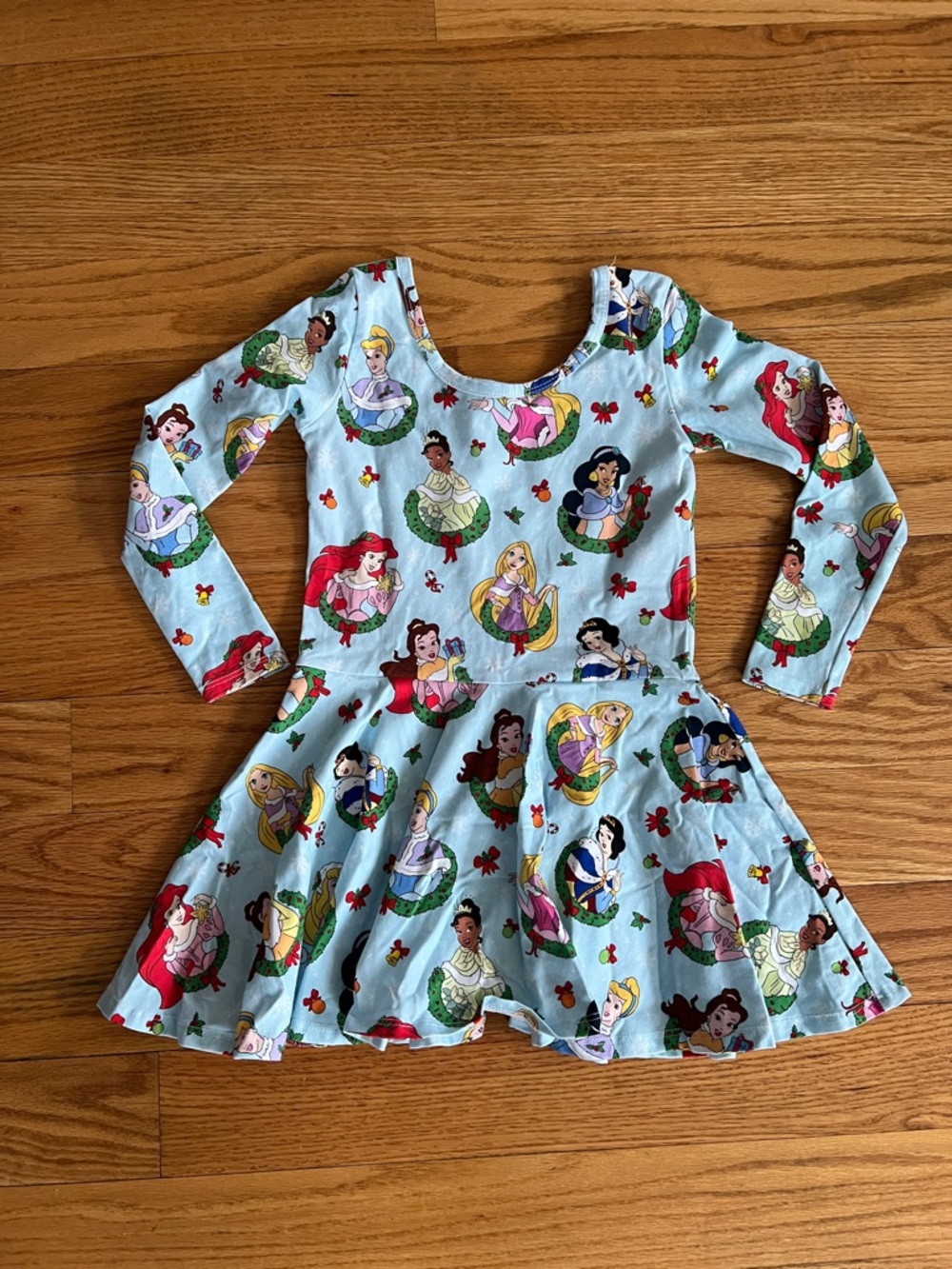 Wild Rich Kids Rare Disney Princesses Christmas Dress sizes 9/10